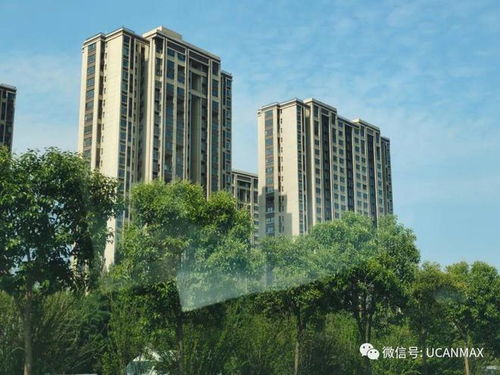 康橋 那云溪的狂歡